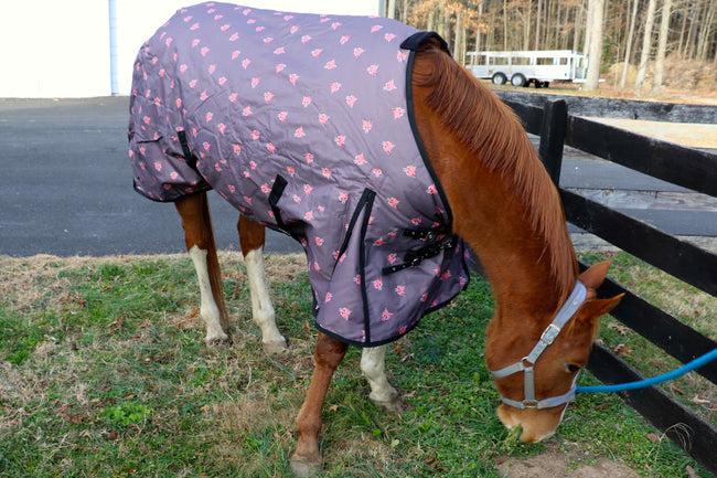 Horse Blanket Leg Straps